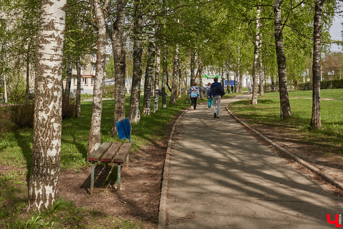 Во Владимире завершилось народное голосование за благоустройство городских локаций в будущем году. Всего участие в нем приняли более 59,5 тысяч человек. На сей раз с большим отрывом вперед вырвались сразу два проекта.